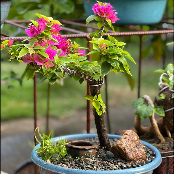 Meet your Posher, Anna - Picture 2 of 2